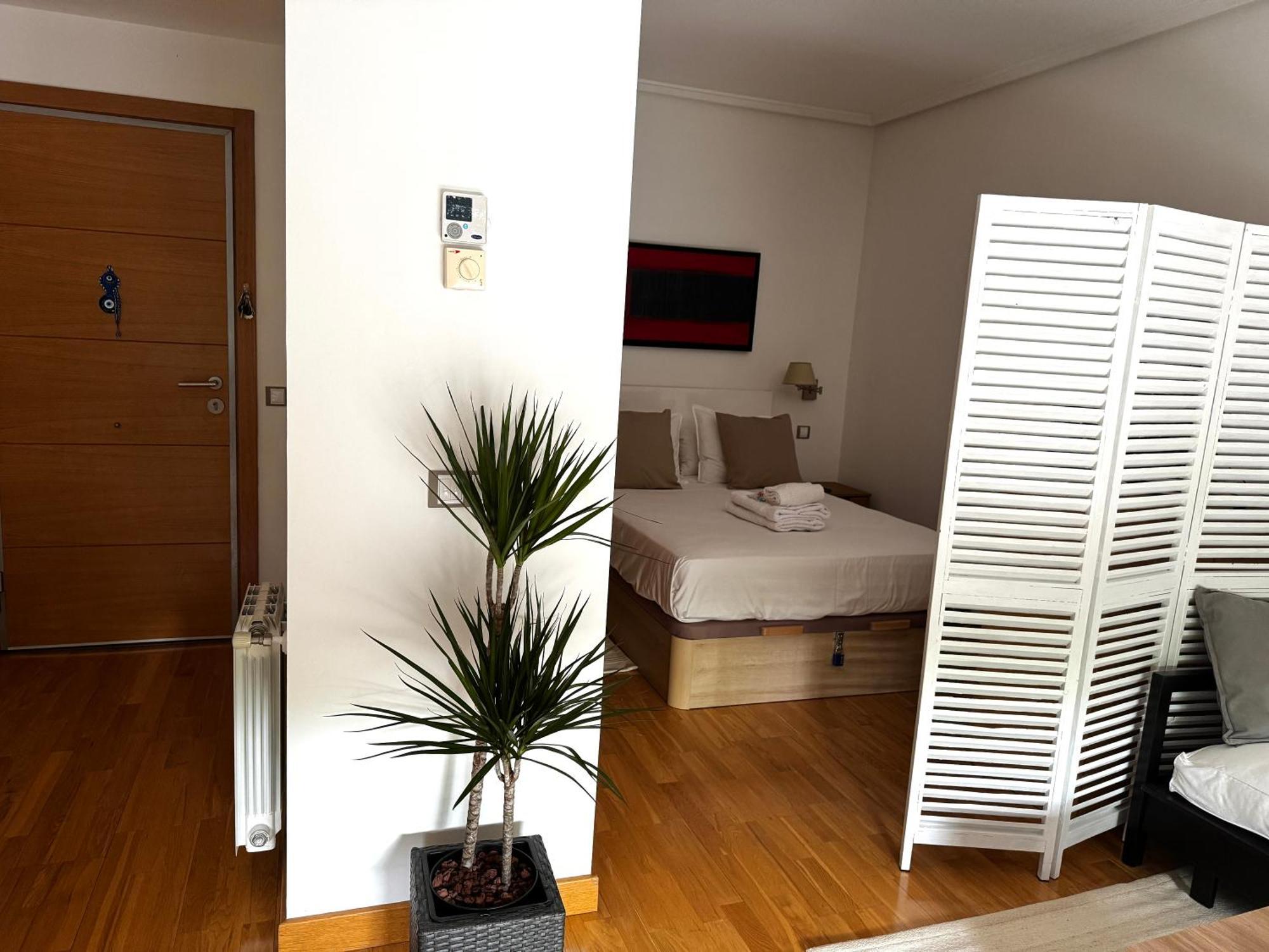 Apartamento-estudio Con Jardin Privado * Madrid